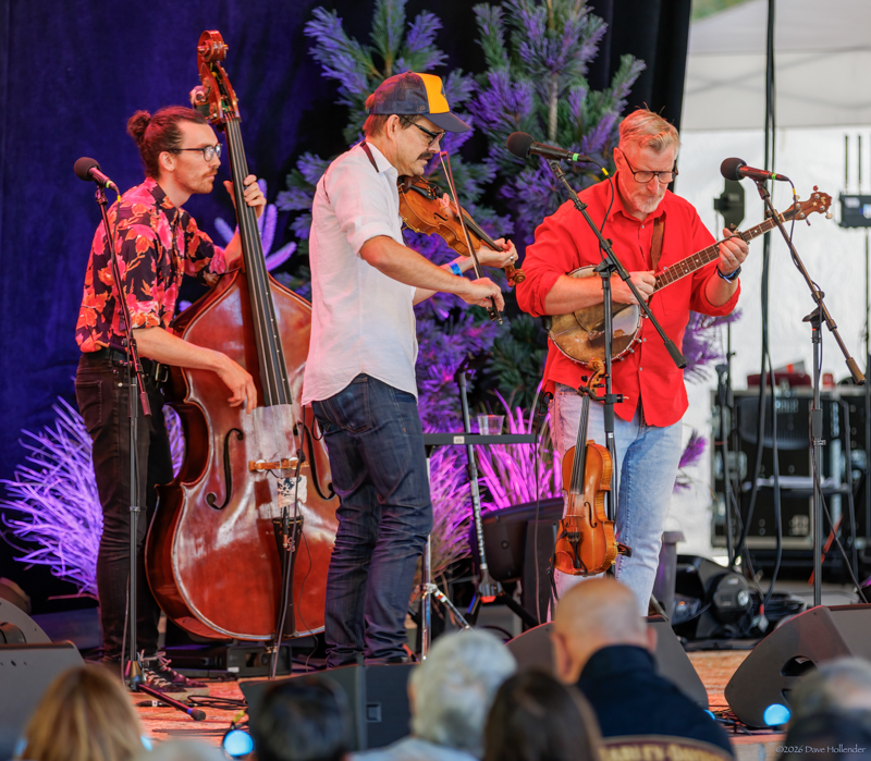 Lonesome Ace String Band at Pickin' in the Pines '26 - photo © Dave Hollender