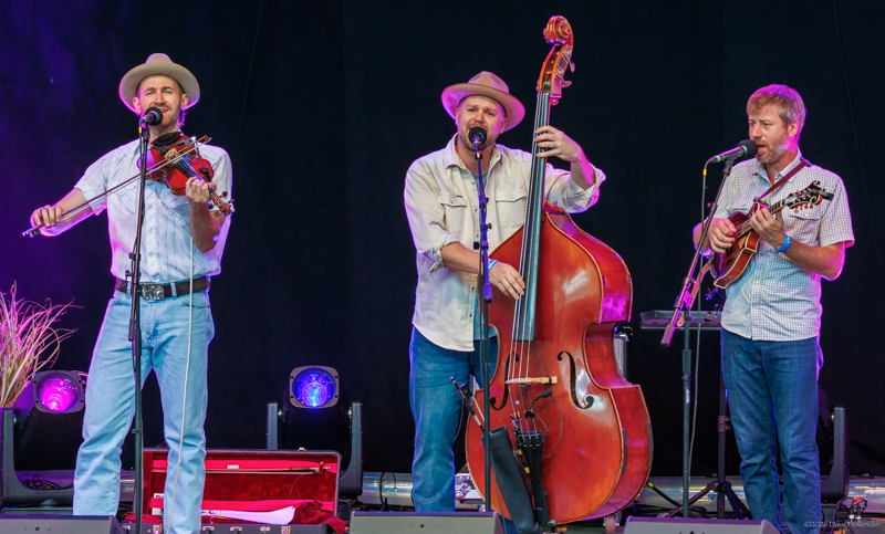 Oliver Bates, Geoff Saunders, and Joshua Rilko at Pickin' in the Pines '26 - photo © Dave Hollender