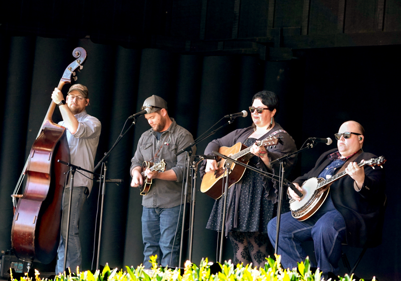 Red Camel Collective at the 2026 Smoky Mountains Bluegrass Festival - photo © Jeff Lahr