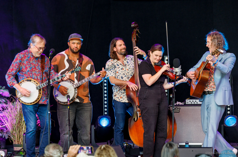 Tony Trischka, Trey Wellington, Eric Alver, Kimber Ludiker, and Michael Daves at Pickin' in the Pines '26 - photo © Dave Hollender